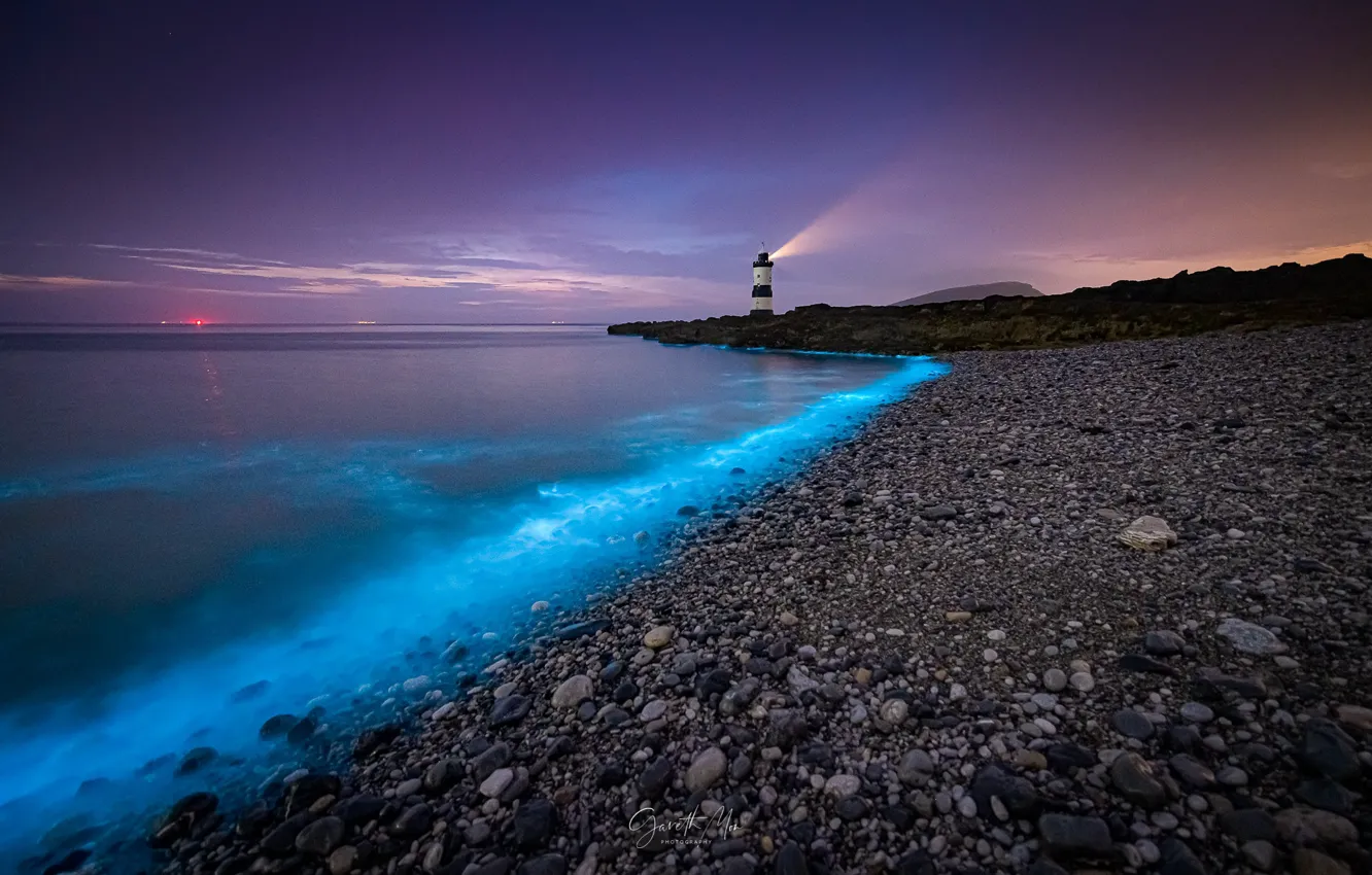 Photo wallpaper sea, evening, lighthouse, bioluminescence