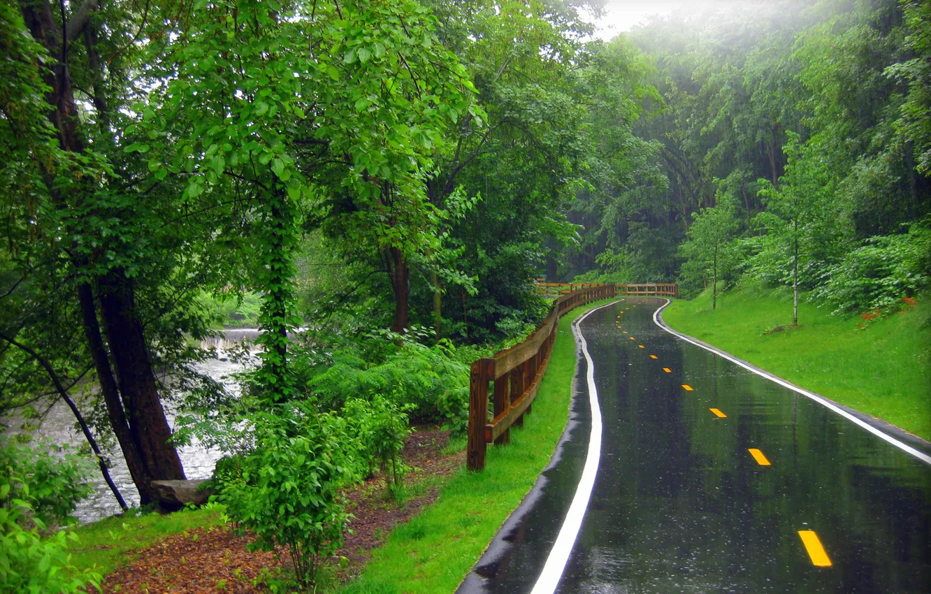 Photo wallpaper road, forest, river, rain
