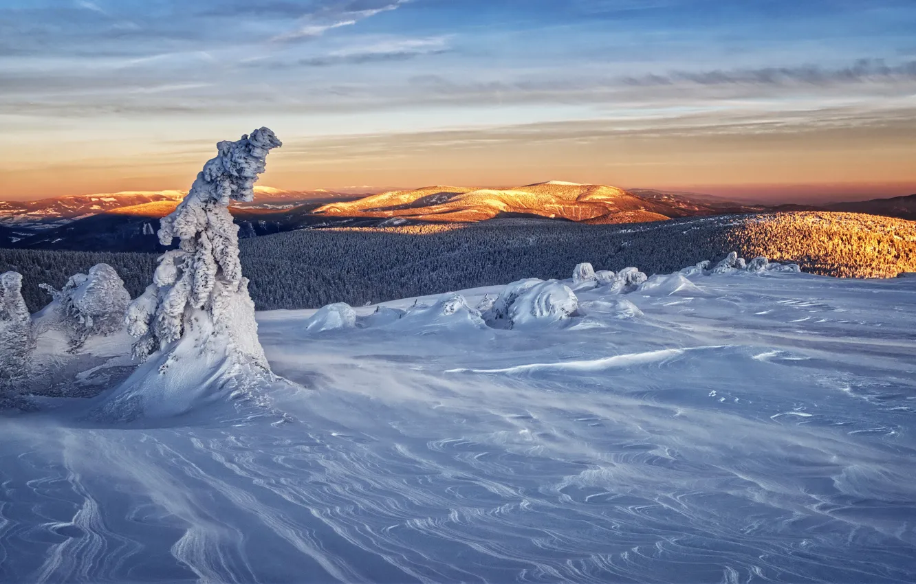 Photo wallpaper Myslivna Vidly, The moravian-silesian region, Vrbno pod Pradědem