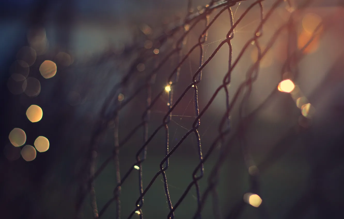 Photo wallpaper macro, night, metal, lights, mesh, the fence, web, grille