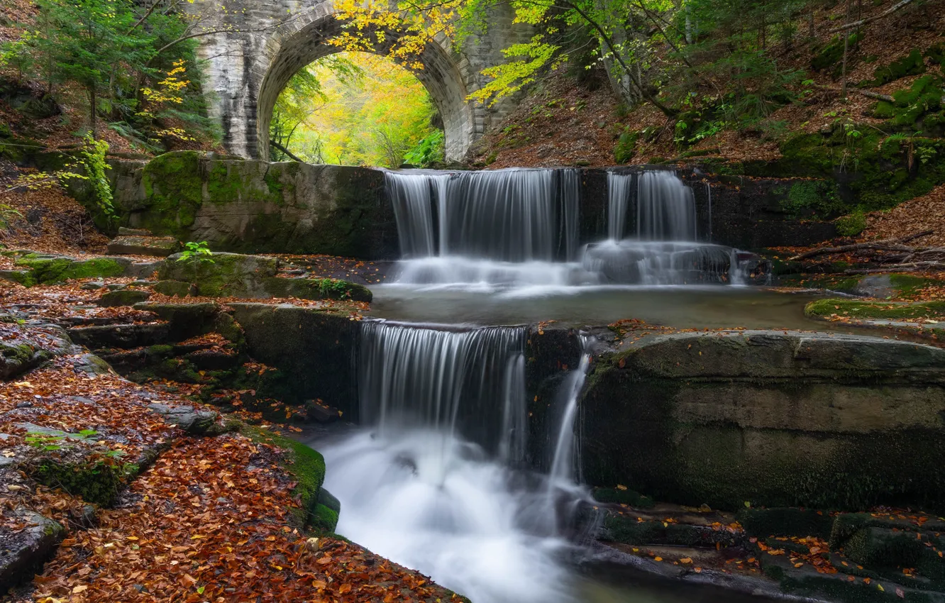 Photo wallpaper autumn, bridge, waterfall, cascade, fallen leaves, Bulgaria, Bulgaria, Sitovo