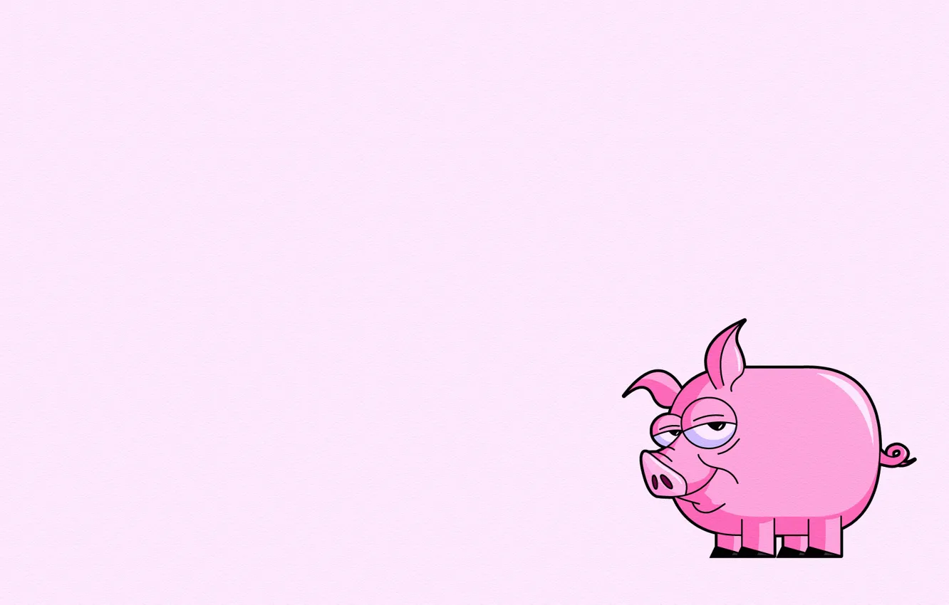 Photo wallpaper minimalism, tail, pig, pink, pig