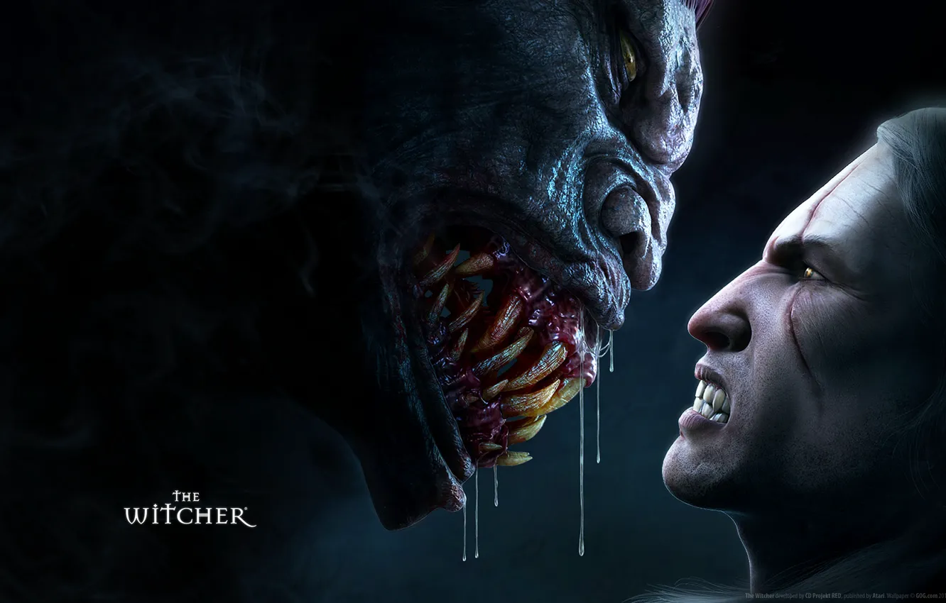 Photo wallpaper rage, grin, striga, The Witcher