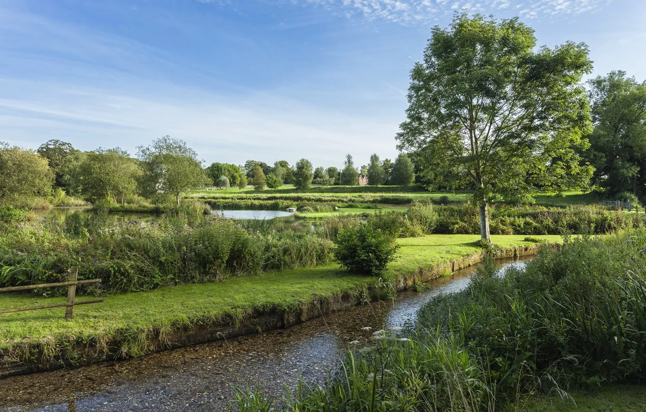 Photo wallpaper summer, the sky, trees, river, England