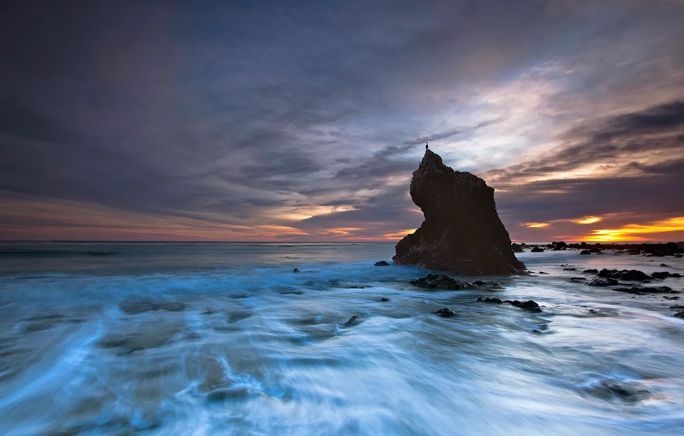 Photo wallpaper sea, the sky, sunset, rocks, bird, stream