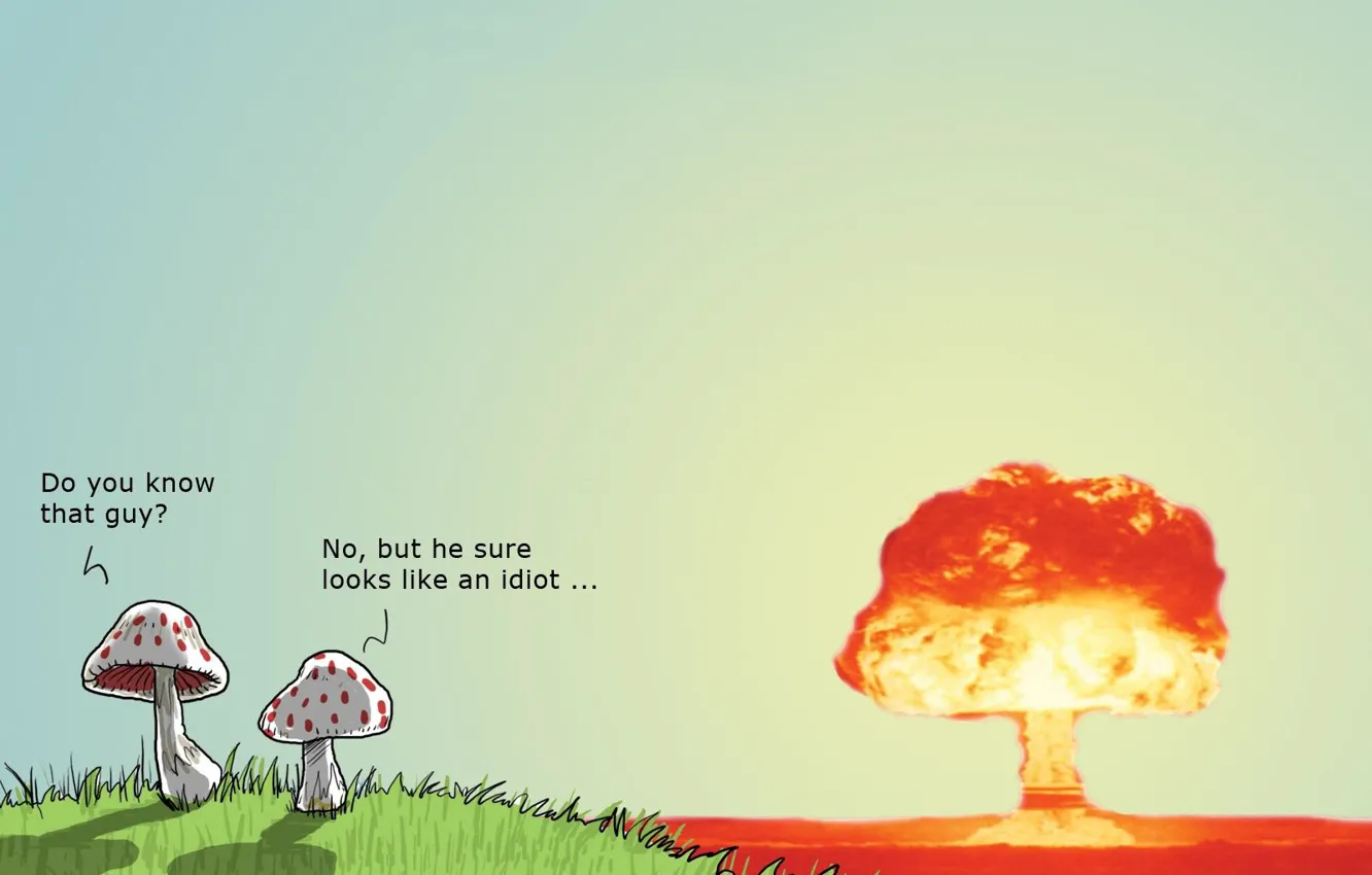 Photo wallpaper mushroom, bomb, humor, Wulffmorgenthaler, atomic explosion