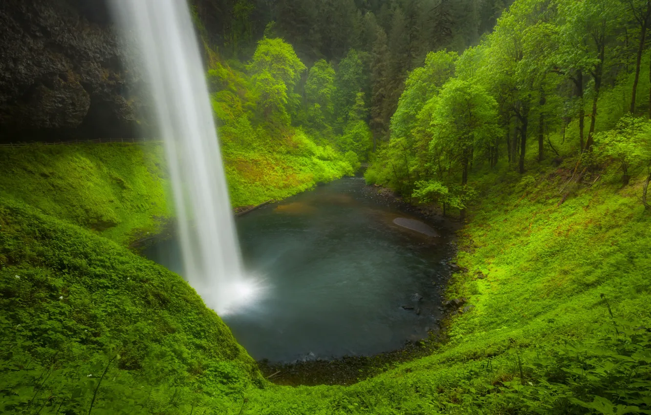 Photo wallpaper trees, nature, waterfall, Doug Shearer