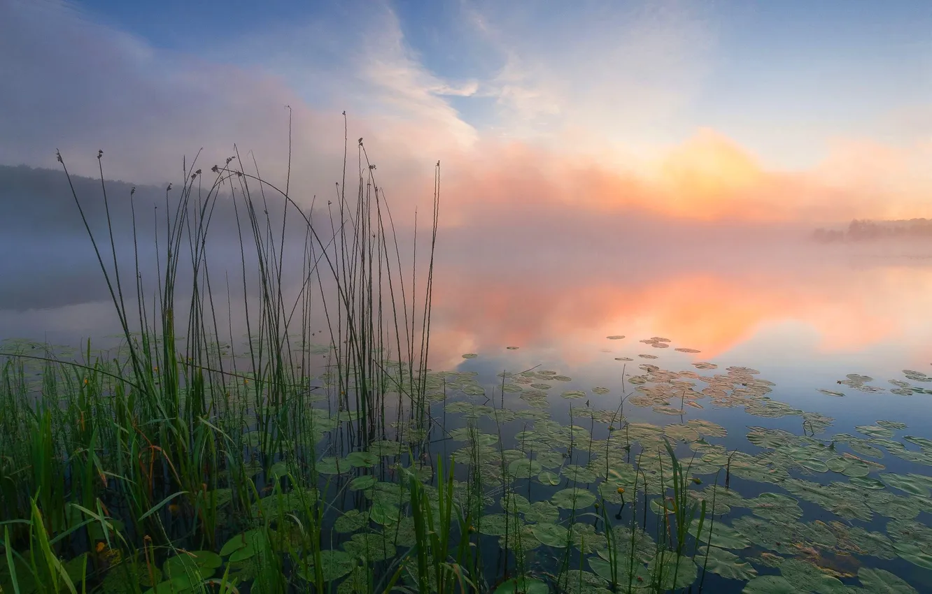 Photo wallpaper the sky, grass, clouds, landscape, sunset, nature, fog, river