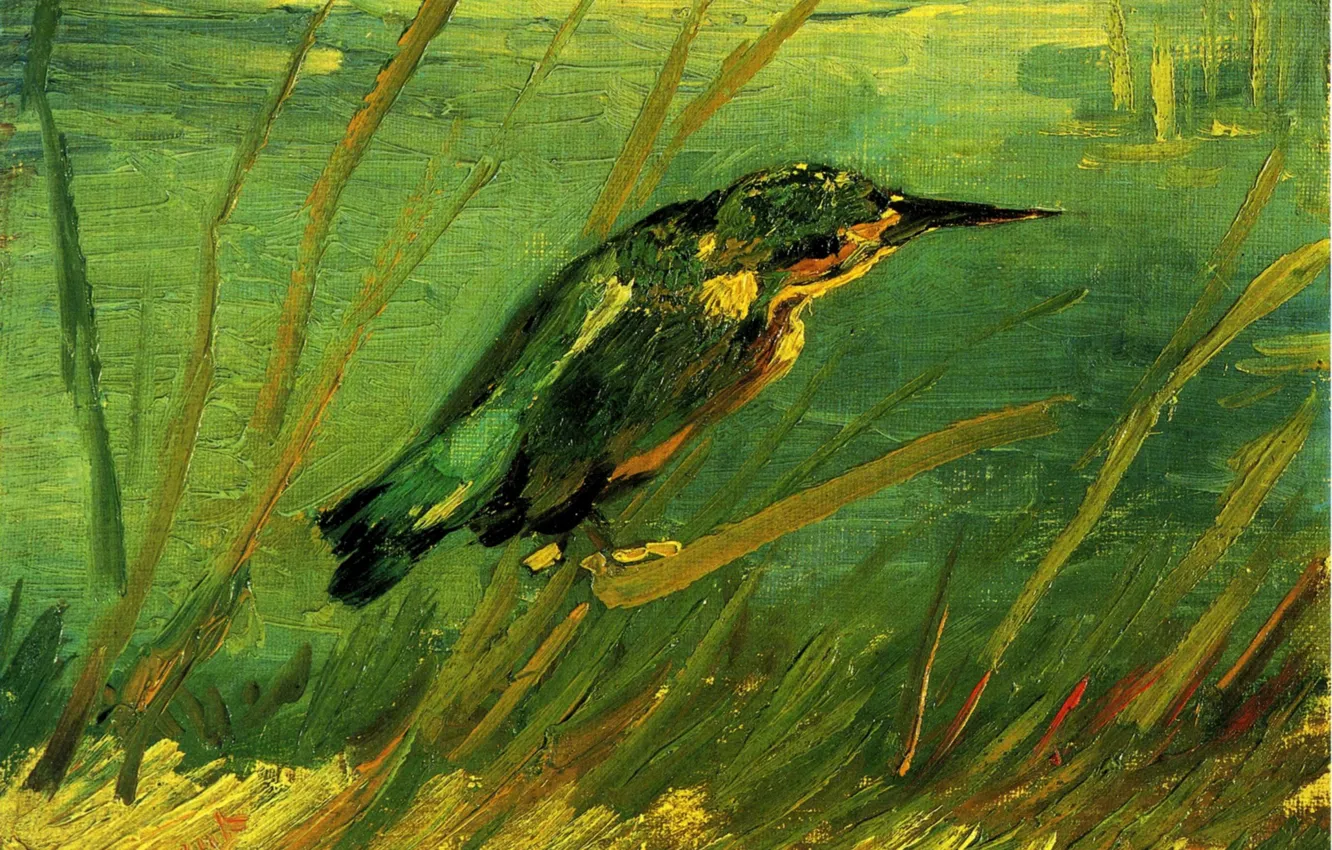 Photo wallpaper beak, forty, Vincent van Gogh, The Kingfisher