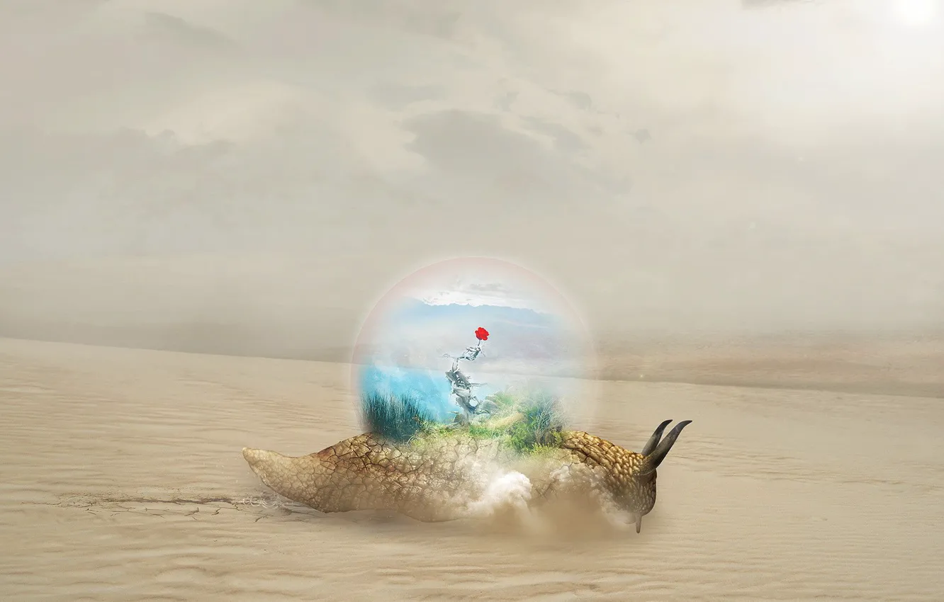 Photo wallpaper sand, ball, snail