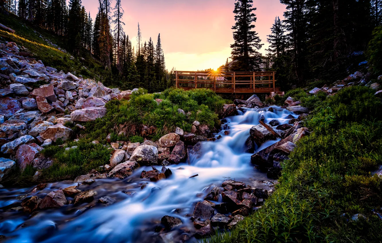 Photo wallpaper forest, stones, waterfall