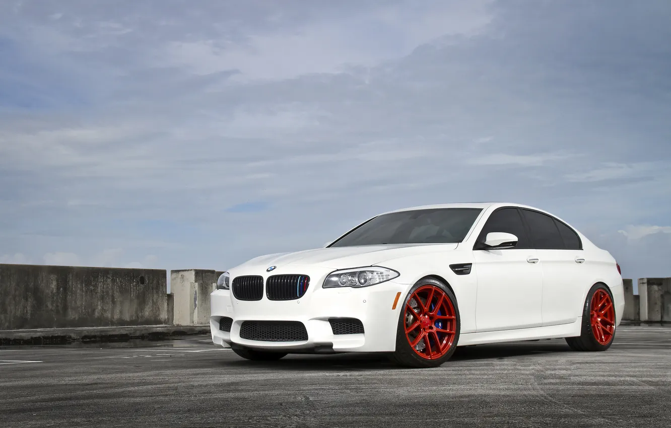Photo wallpaper tuning, BMW, BMW, white, drives, F10