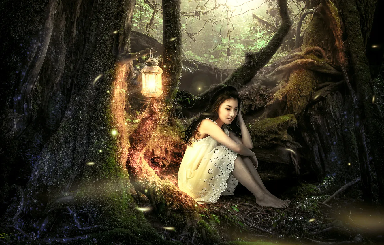 Photo wallpaper forest, girl, trees, lights