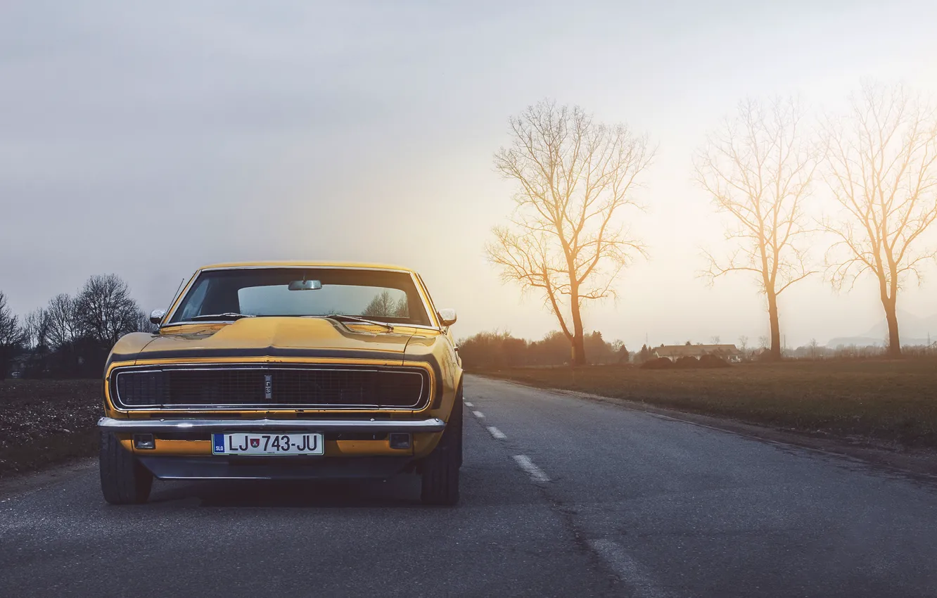 Photo wallpaper Chevrolet, Muscle, Camaro, USA, Car, Power, Front, Sun