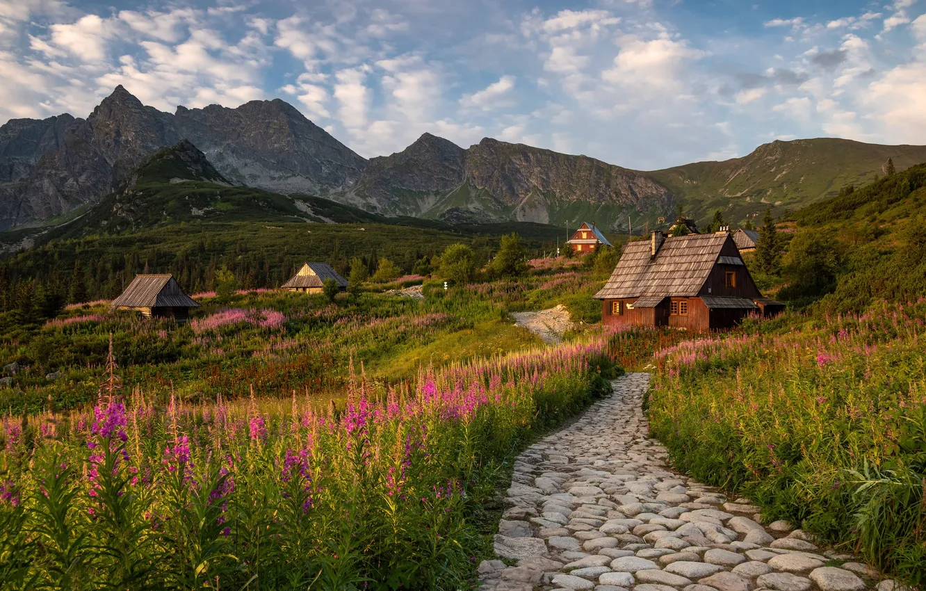 Photo wallpaper field, summer, clouds, flowers, mountains, stones, slope, village