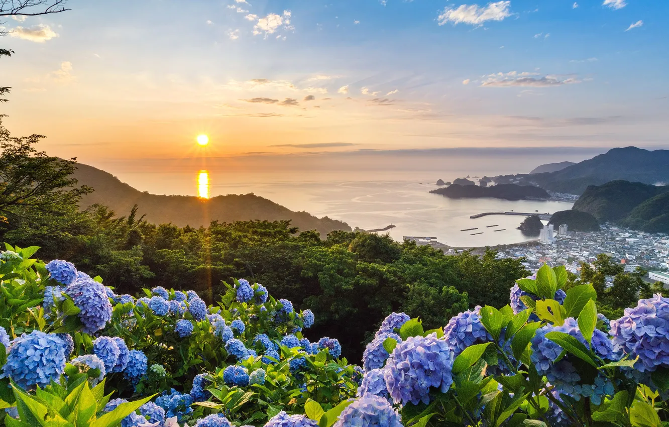 Photo wallpaper sea, the sky, the sun, clouds, flowers, beauty, horizon, Shizuoka Prefecture