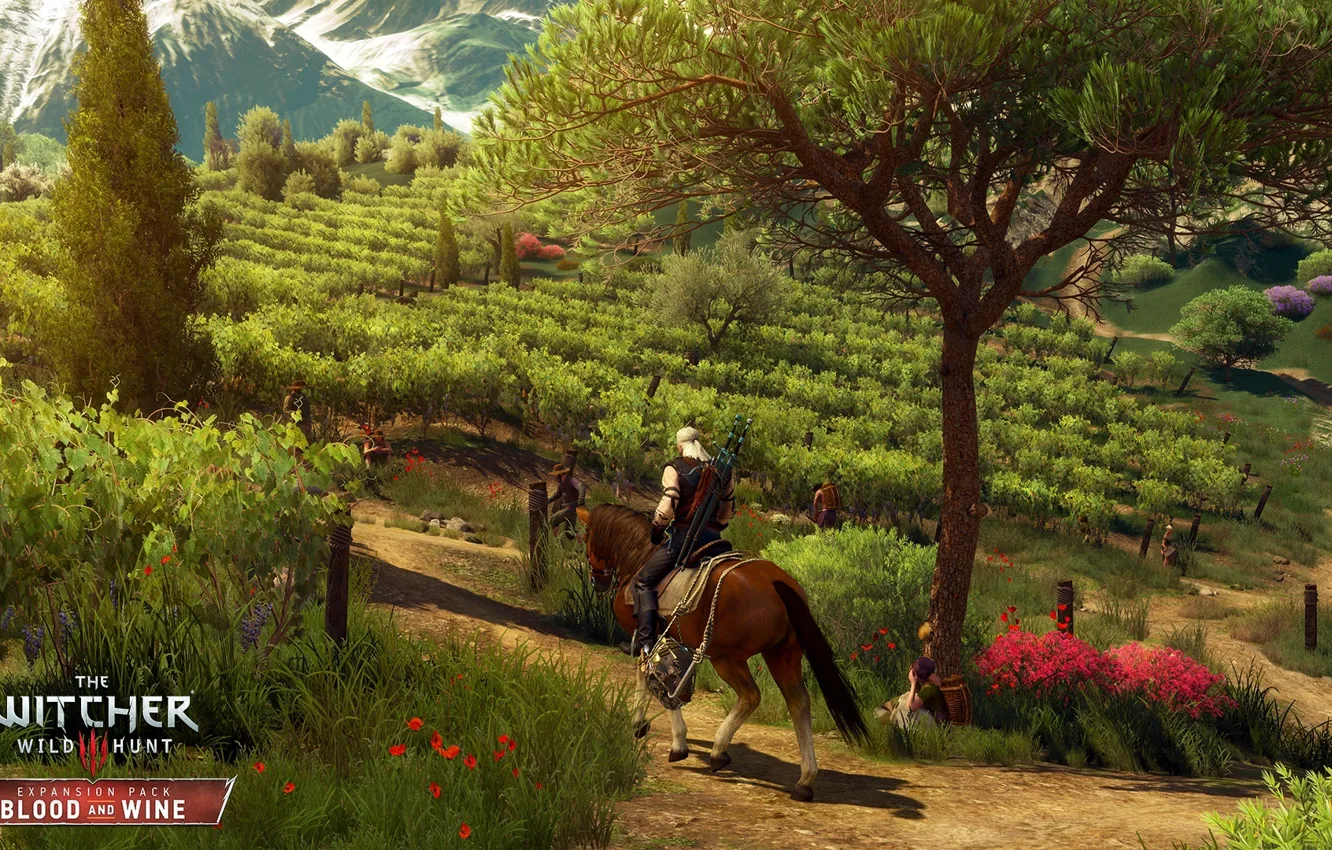 Photo wallpaper DLC, The Witcher 3, Wild Hunt, Blood and Wine