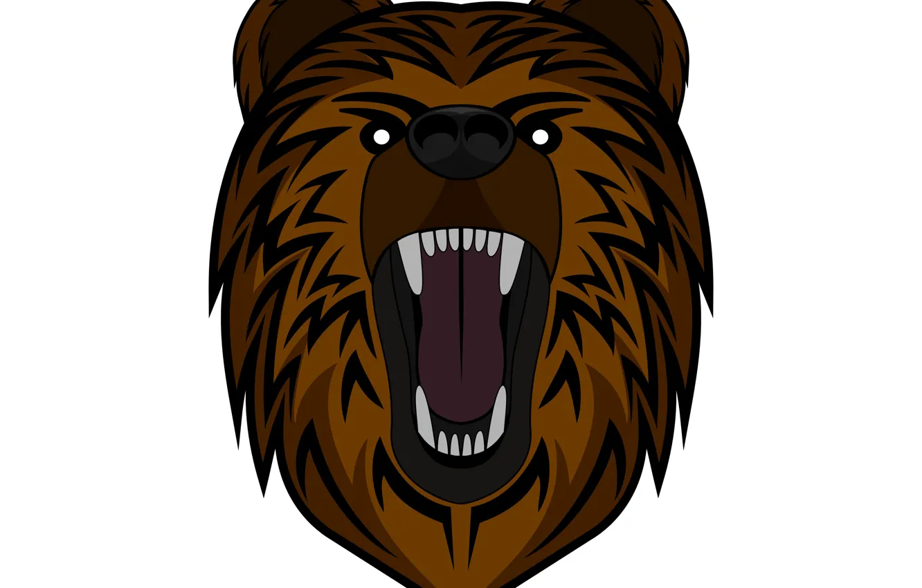 Photo wallpaper face, teeth, bear, fangs, grin, white background, growl, roar