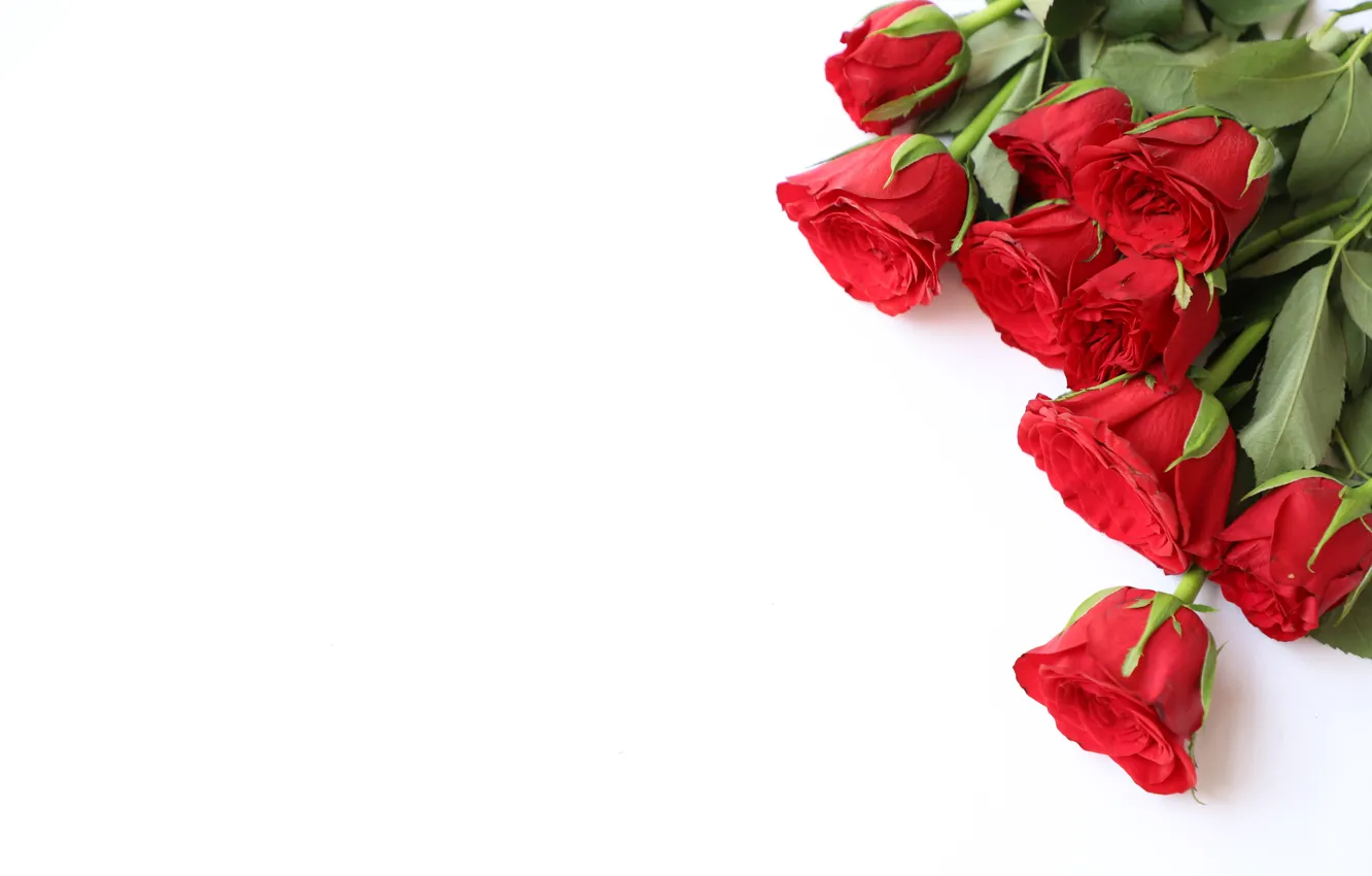 Photo wallpaper flowers, red, roses, bouquet, red, wood, flowers, romantic