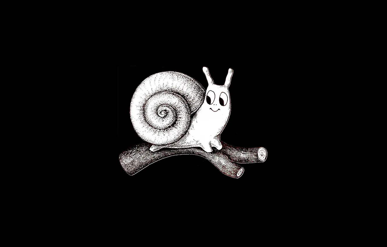 Photo wallpaper graphics, snail, black and white, log, black background, toon