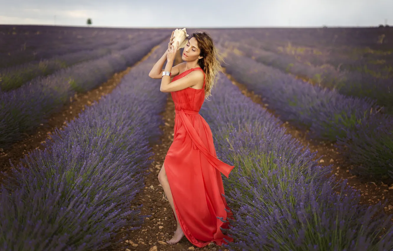 Photo wallpaper field, girl, mood, shell, red dress, lavender, Veronika Castrillo