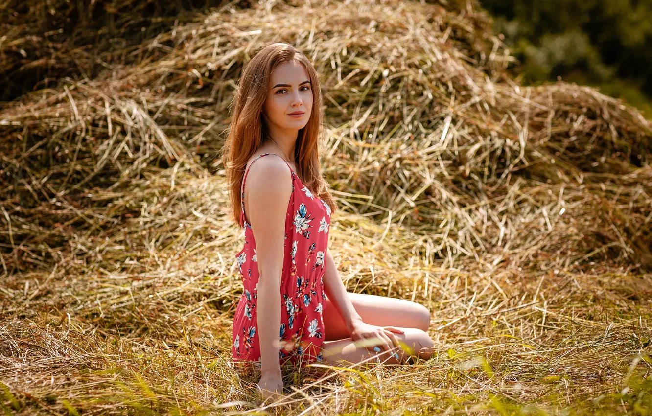 Photo wallpaper look, girl, pose, hay, Alexey Gilev, Alexey Gilev