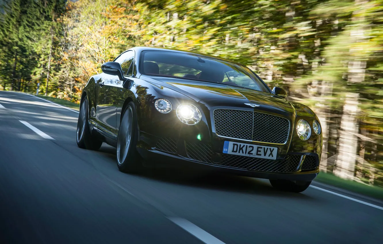 Photo wallpaper forest, black, lights, Bentley, Continental, grille, car, Bentley