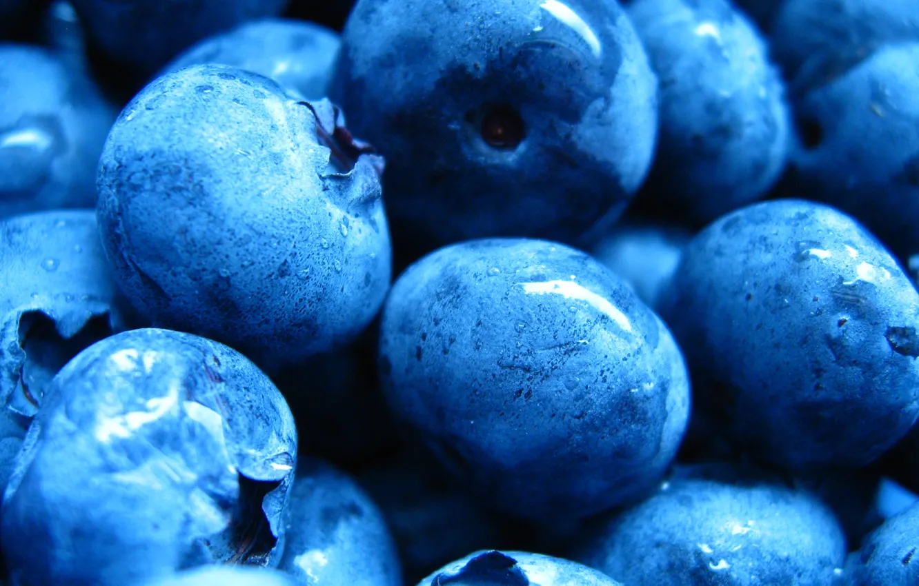 Photo wallpaper drops, blueberries, berry