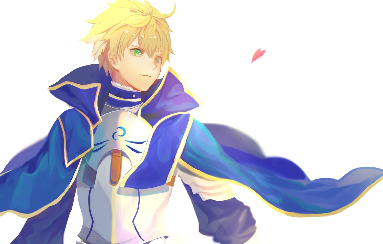 Photo wallpaper petals, guy, Fate / Grand Order, The destiny of a great campaign