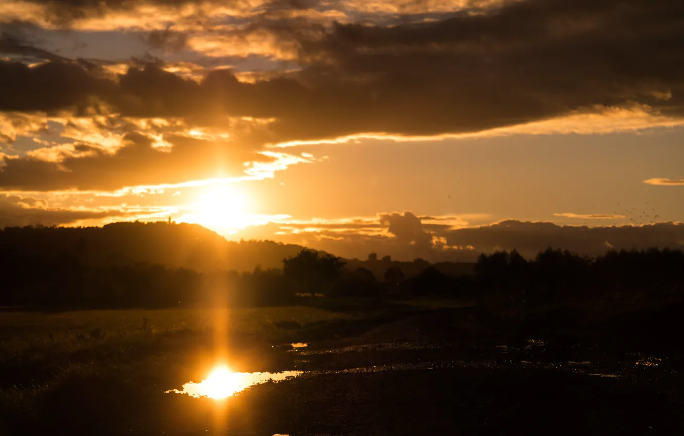 Photo wallpaper road, sunset, water, glow, sun, reflection