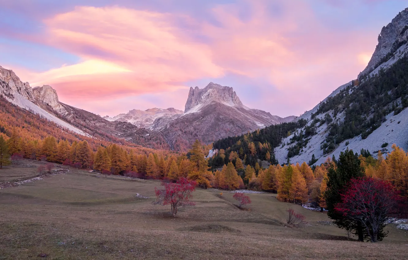 Photo wallpaper field, autumn, forest, clouds, snow, trees, mountains, rocks