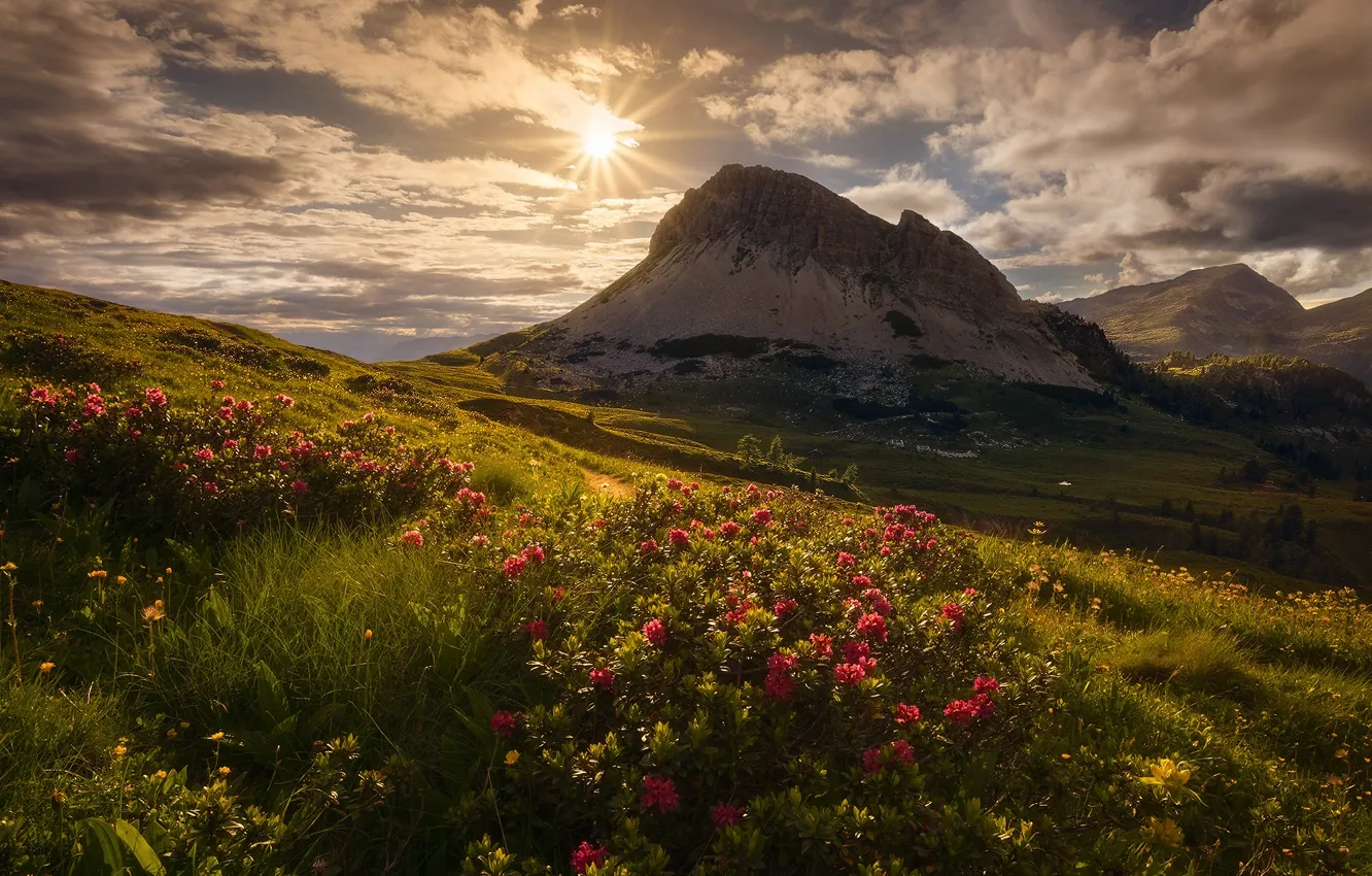 Photo wallpaper the sky, grass, the sun, clouds, flowers, mountains, Alps, Italy