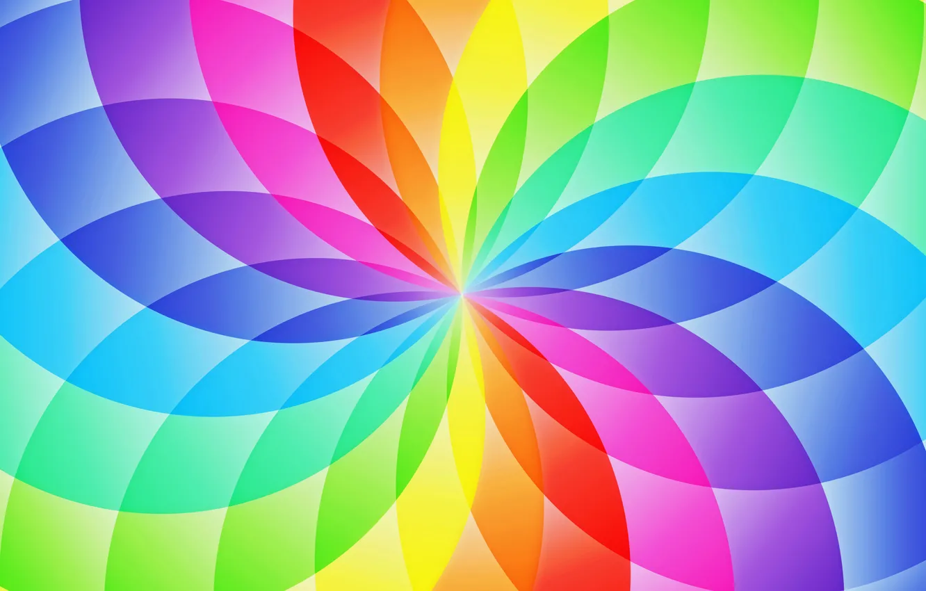 Photo wallpaper circles, flowers, abstraction, pattern, rainbow, petals, sector