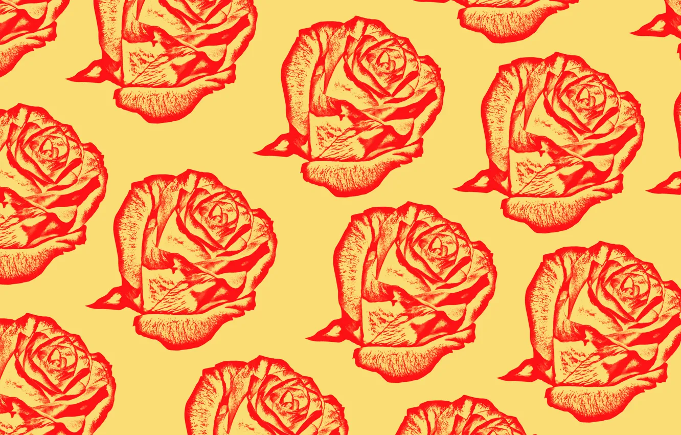 Photo wallpaper flowers, rose, roses, fabric, flowers, roses