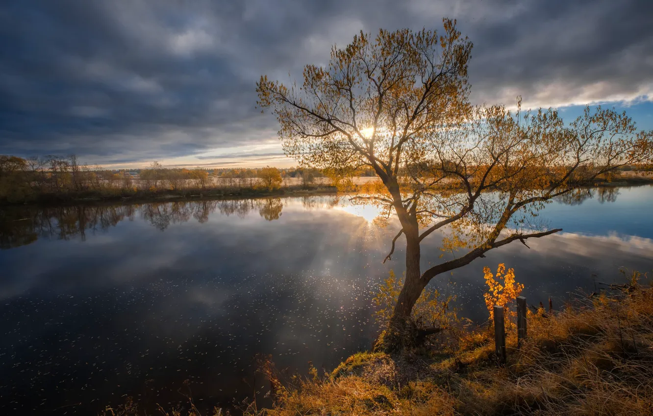 Photo wallpaper autumn, the sun, rays, landscape, nature, reflection, river, tree