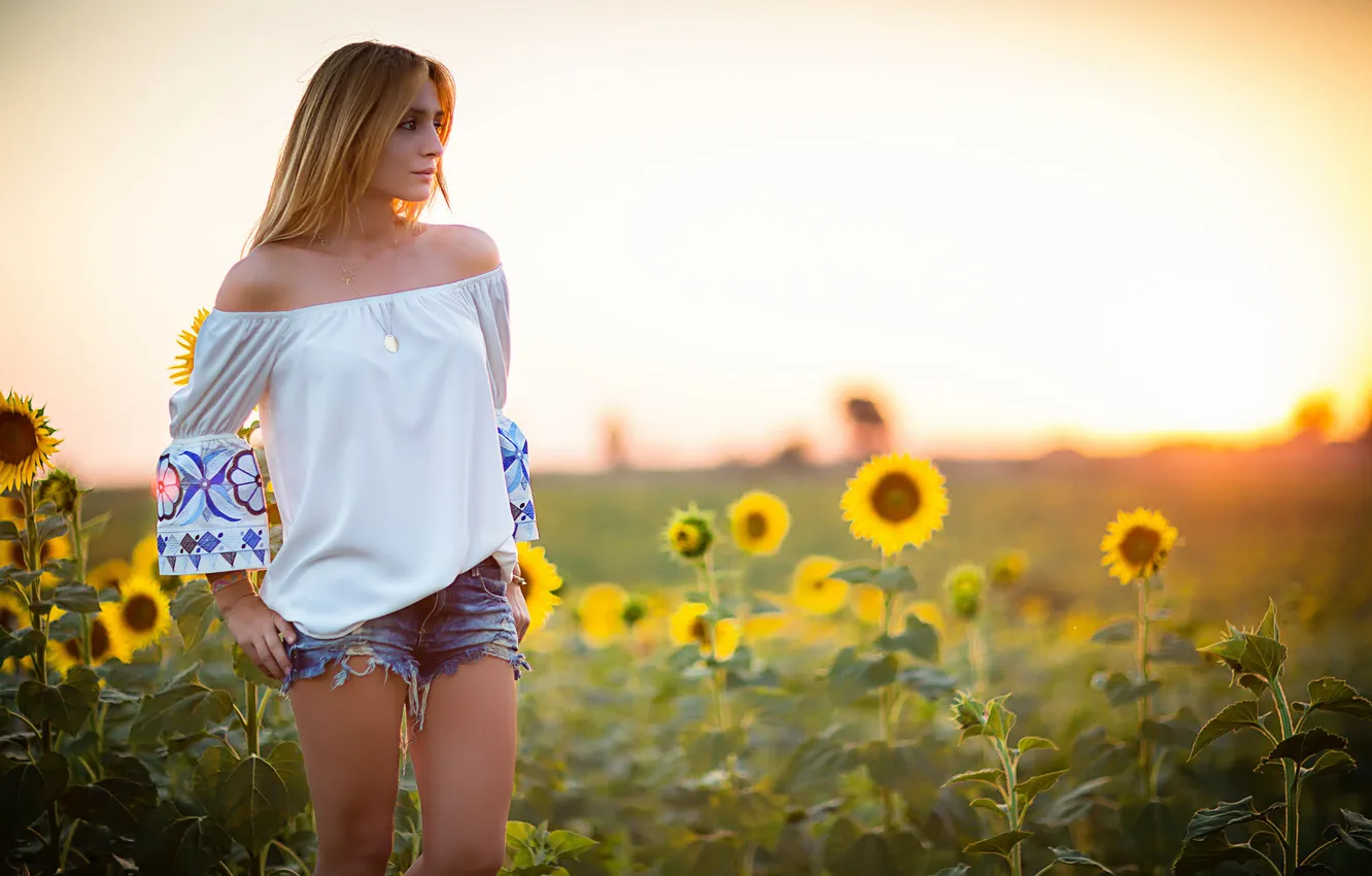 Photo wallpaper field, summer, girl, sunflowers