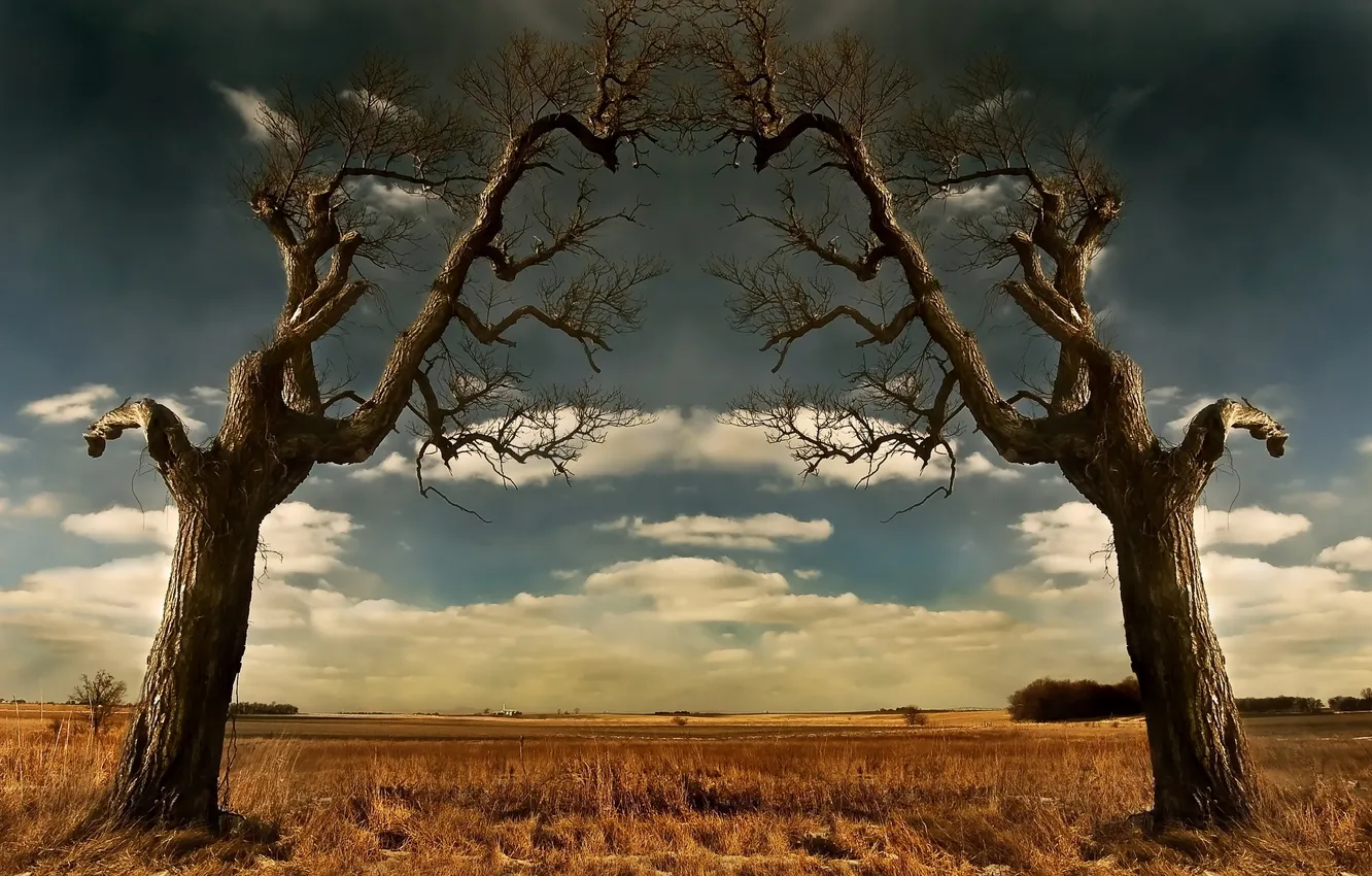 Photo wallpaper country, Prairie Portal, digital mirror