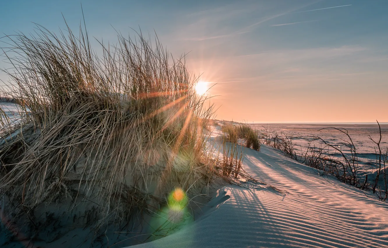 Photo wallpaper light, shore, dunes