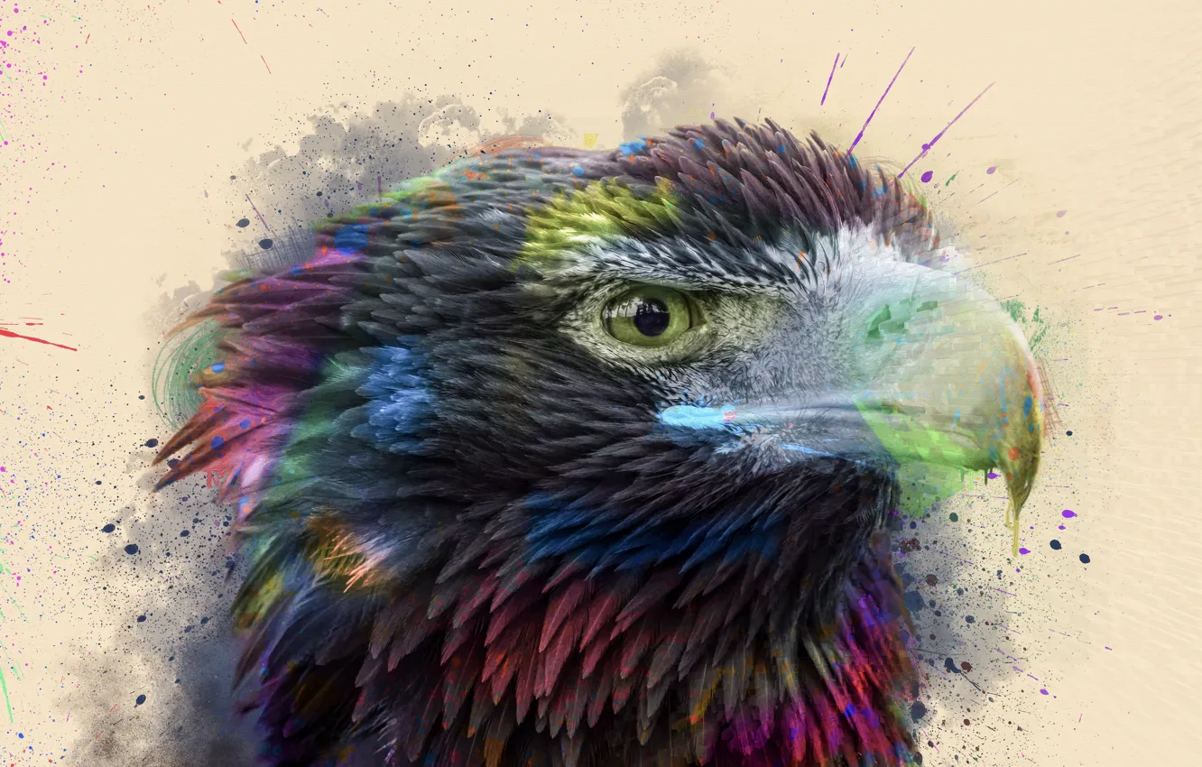 Photo wallpaper squirt, paint, hawk, by 0l-Fox-l0