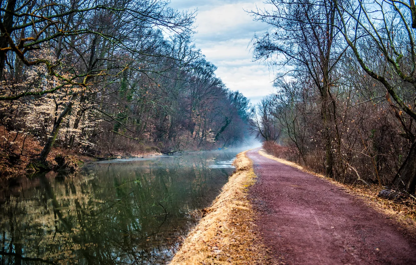 Photo wallpaper road, fog, river