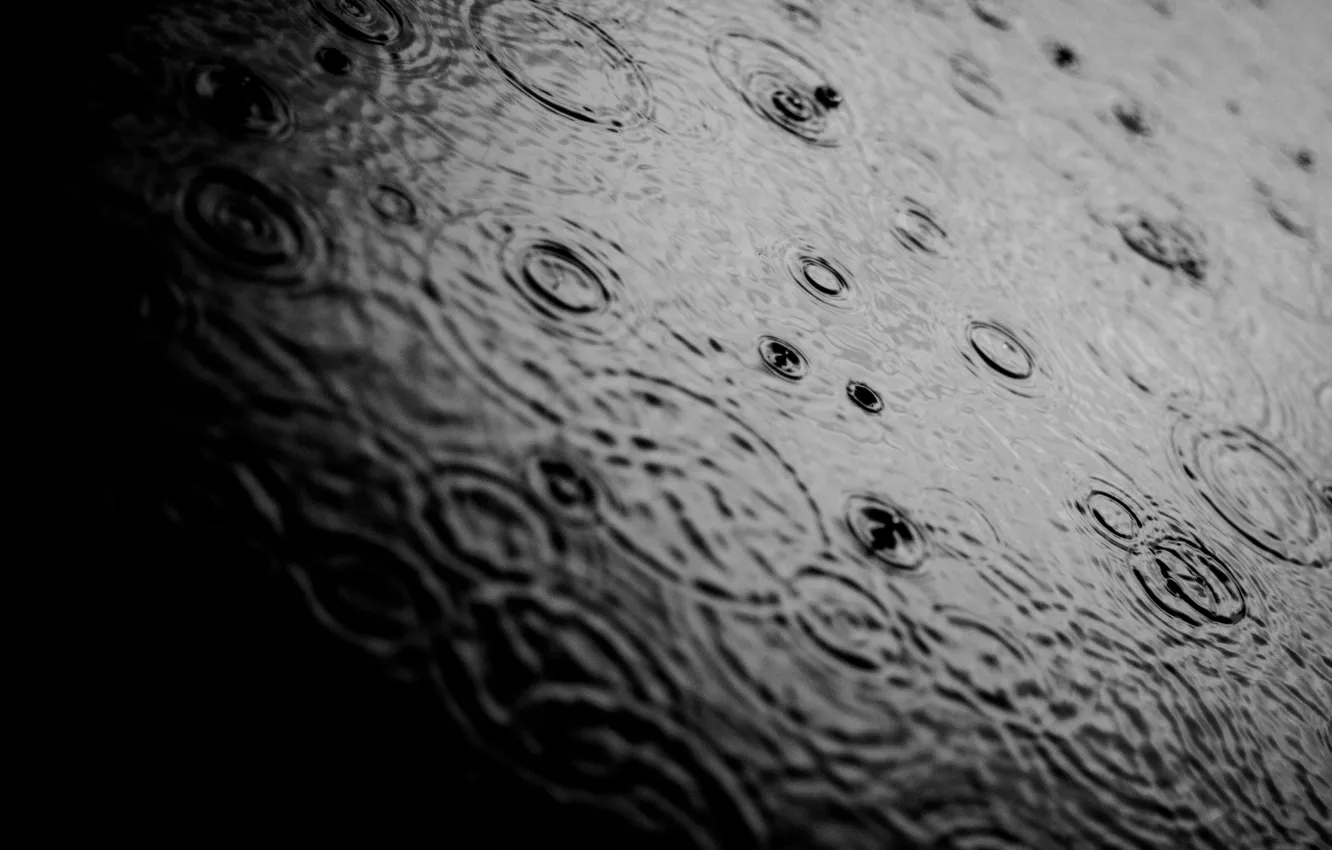 Photo wallpaper water, drops, macro, photo, rain, mood, Wallpaper, b/W