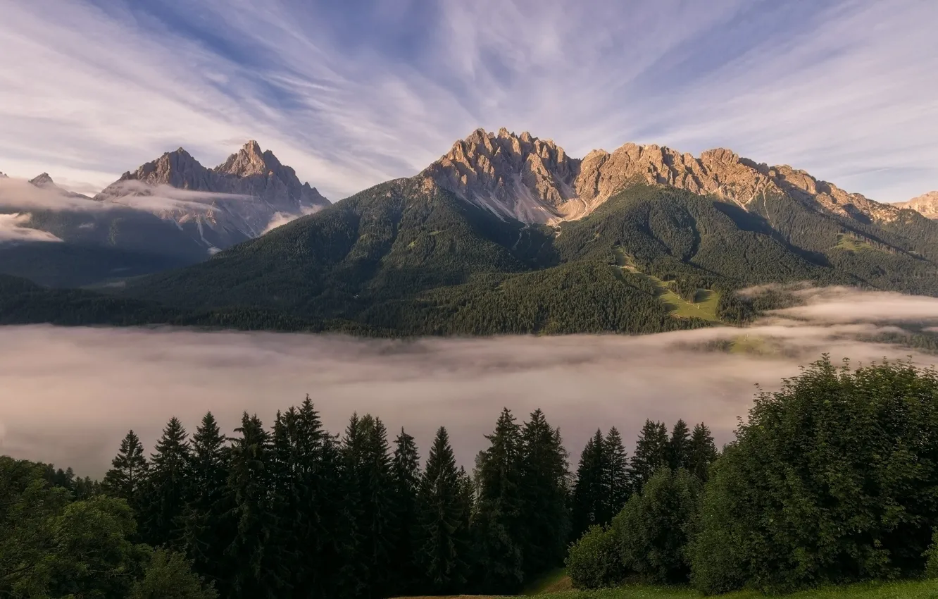 Photo wallpaper forest, the sky, mountains, Alps, forest