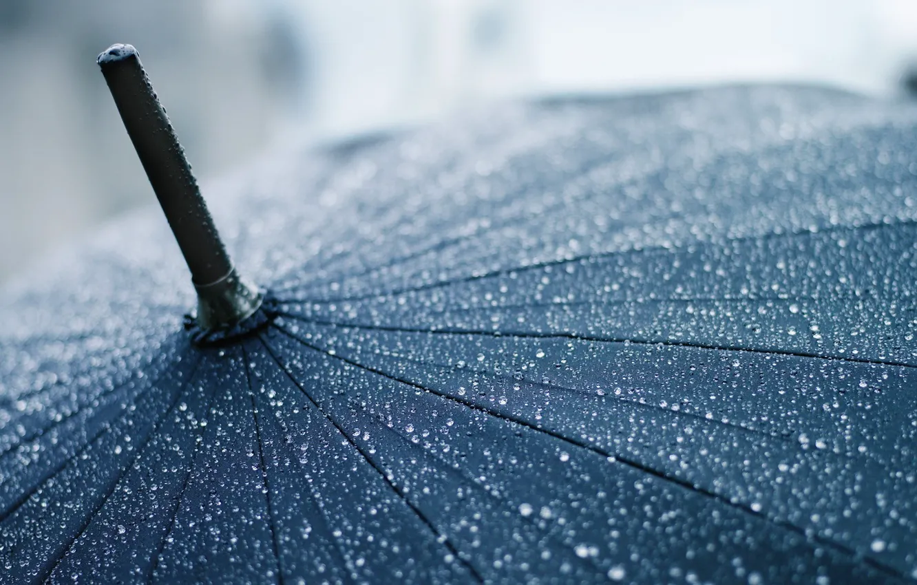 Photo wallpaper drops, macro, umbrella, rain, umbrella