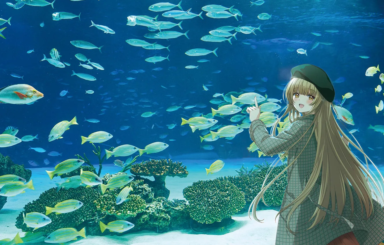 Photo wallpaper girl, fish, aquarium, Otonari no Tenshi-sama ni Itsunomanika Dame Ningen, Mahiru Shiina