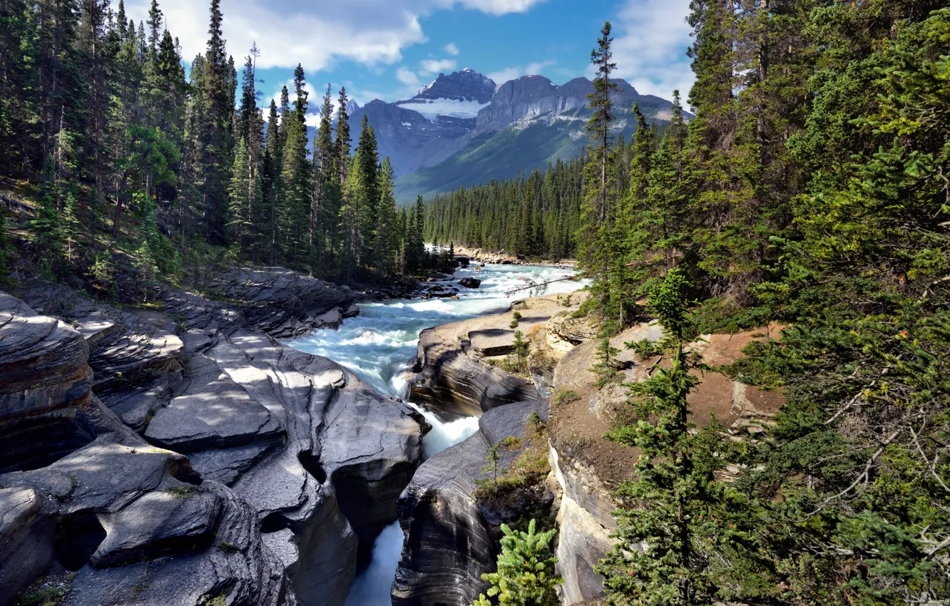 Photo wallpaper forest, landscape, mountains, nature, river, stones, stream