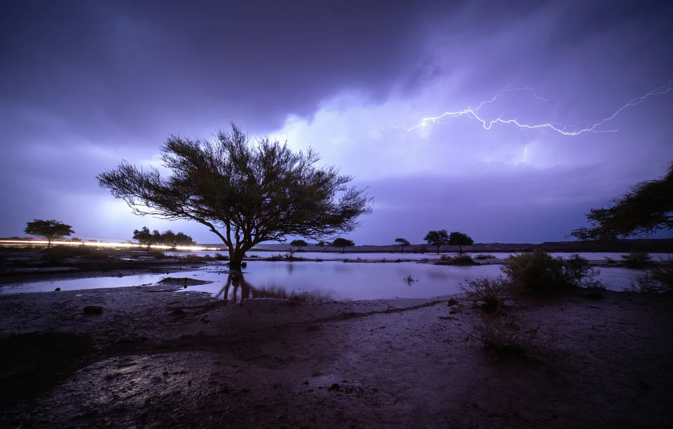 Photo wallpaper the storm, trees, night, rain, lightning, rain, nights, Saudi Arabia