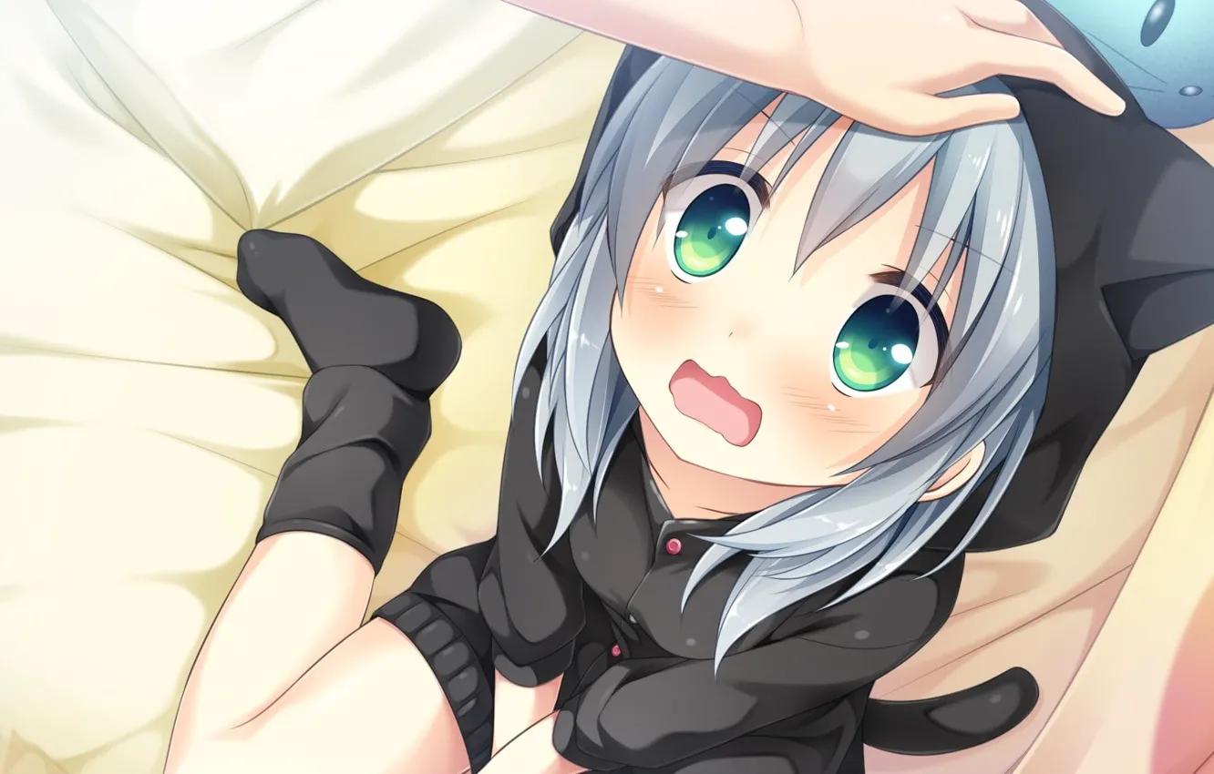 Photo wallpaper anime, full hd, wallpaper 1920x1080