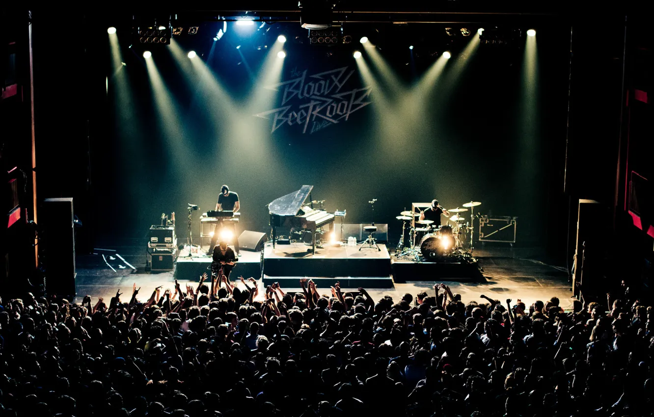 Photo wallpaper Music, Concert, Music, The Bloody Beetroots, Live Performance
