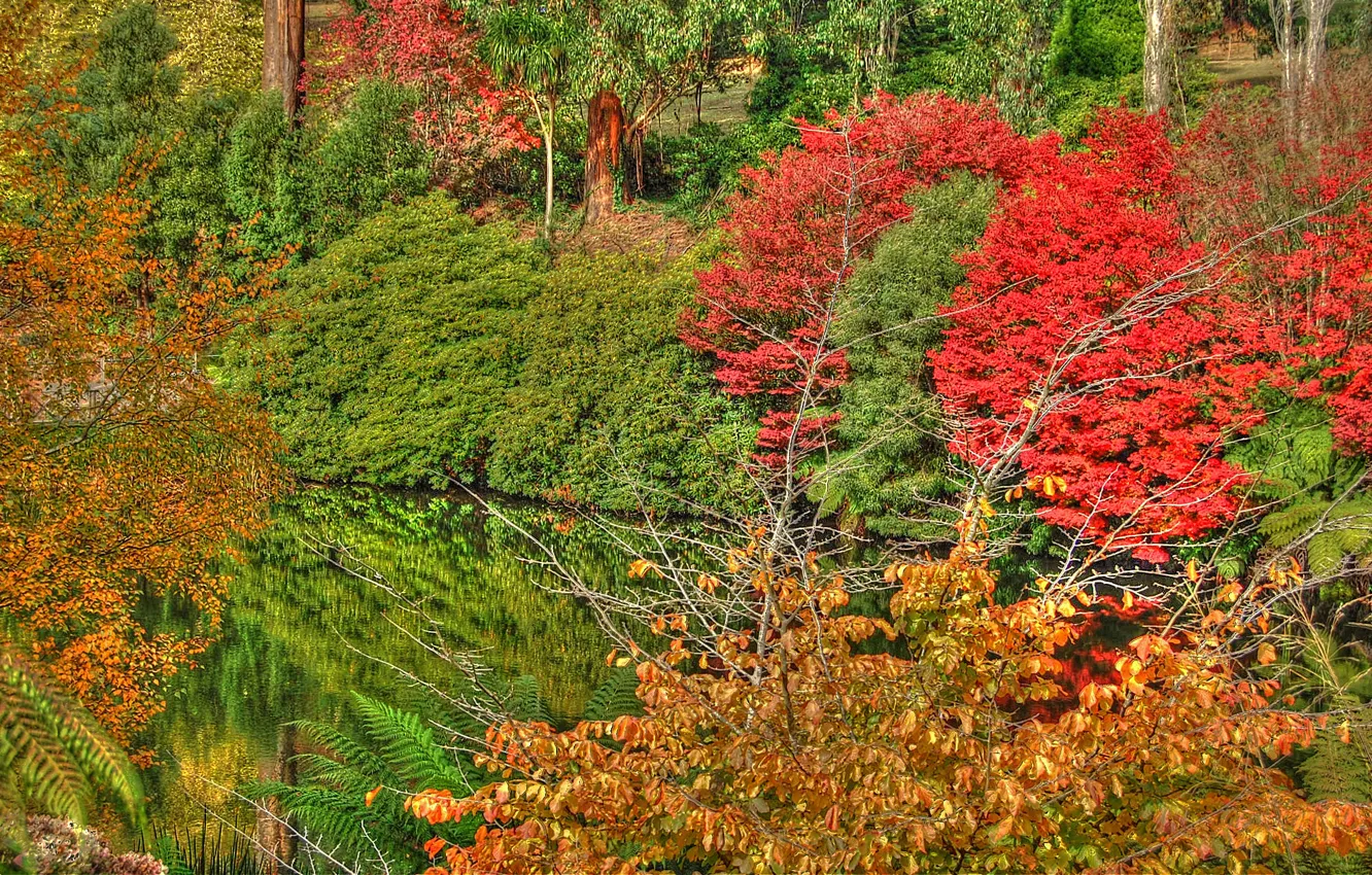 Photo wallpaper autumn, trees, nature, lake, reflection, colors, trees, nature