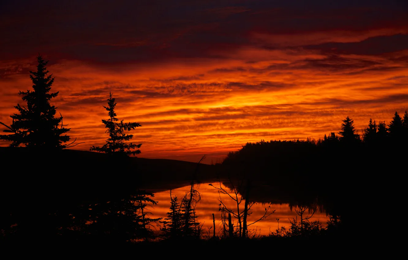 Photo wallpaper the sky, water, clouds, trees, lake, silhouette, glow